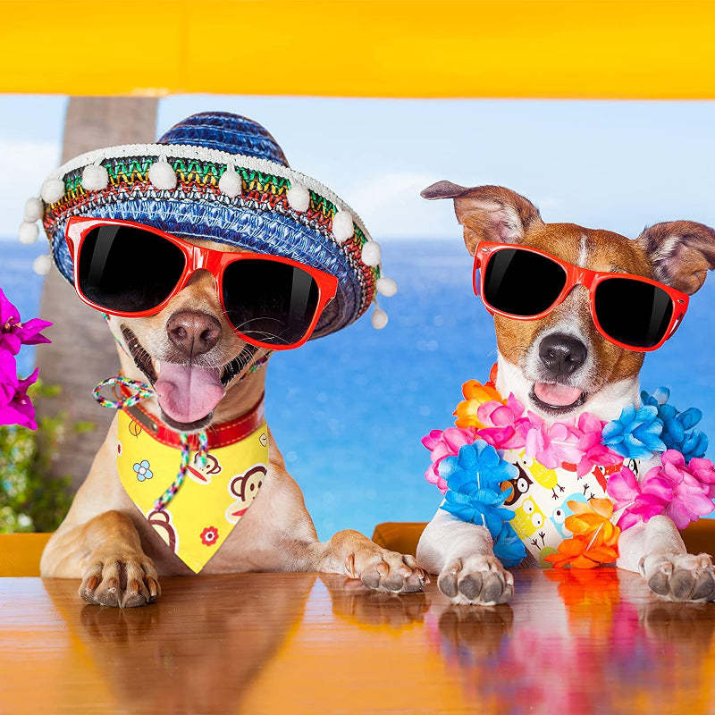 Sublimation Pet Bandana Heat Transfer Washable Triangle Dog Scarf-Paw Print Pad