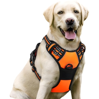 Dog Harness No Pull with 2 Leash Clips