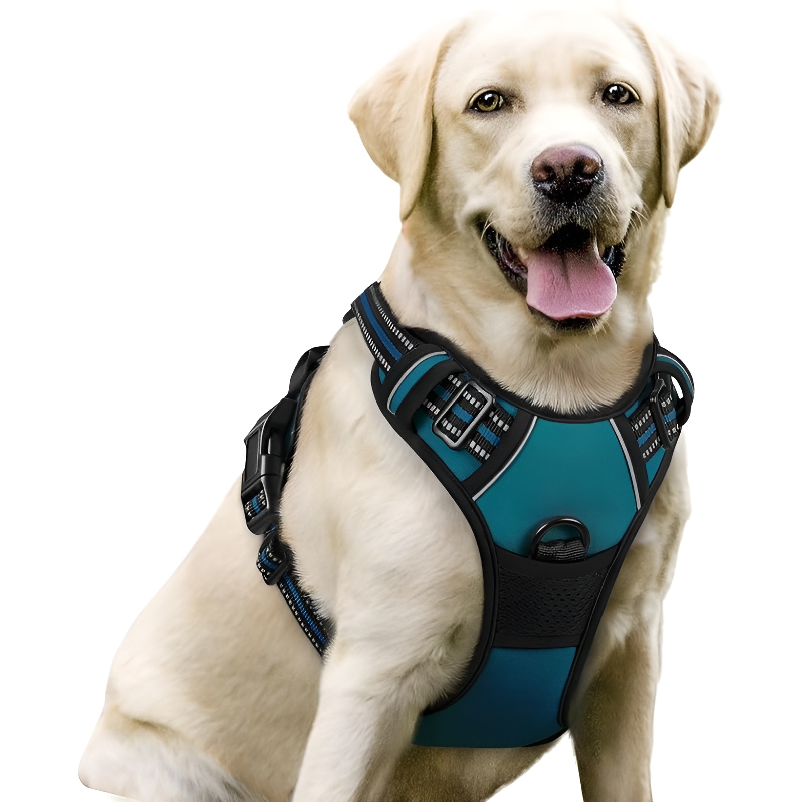 Dog Harness No Pull with 2 Leash Clips