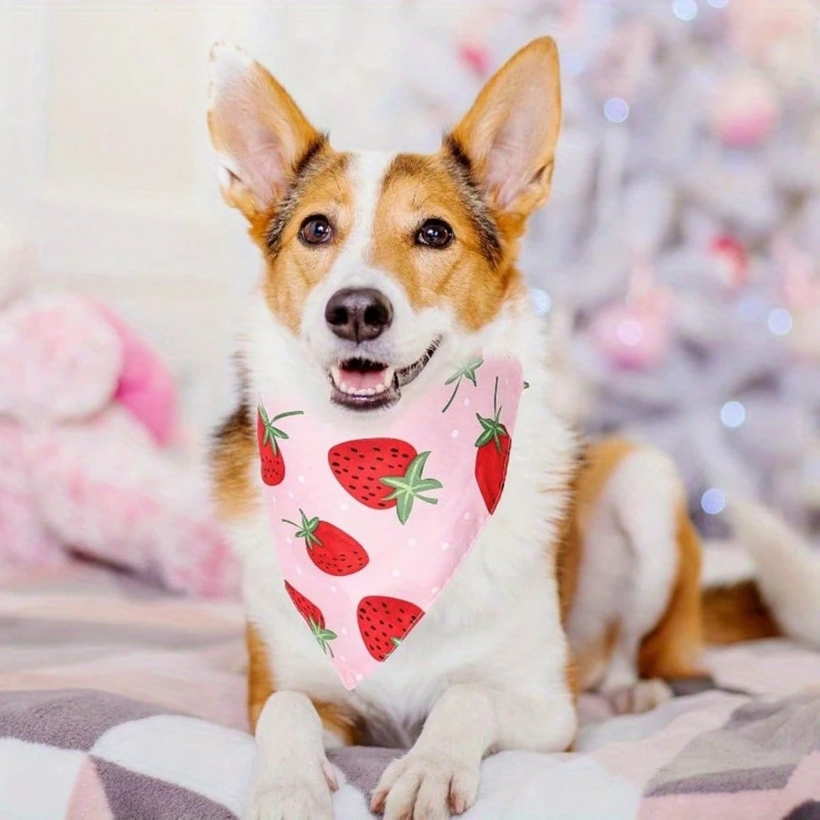Set Of 2 Strawberry Themed Pet Bandana For Cats And Dogs 