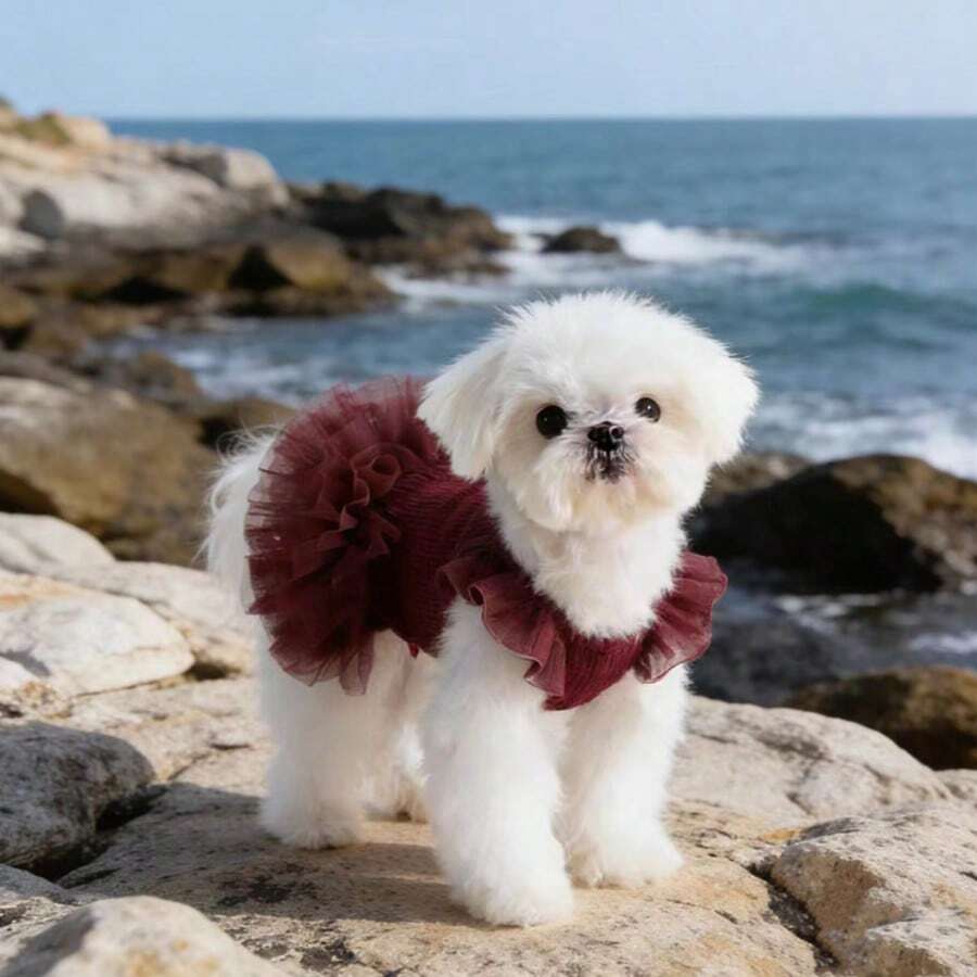 Pet Ruffled Sleeve Princess Dress