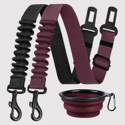 Dog Safety Seat Belt Pack Of 3