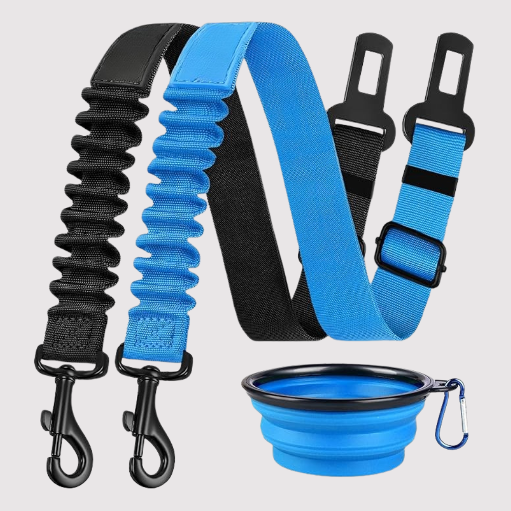 Dog Safety Seat Belt Pack Of 3