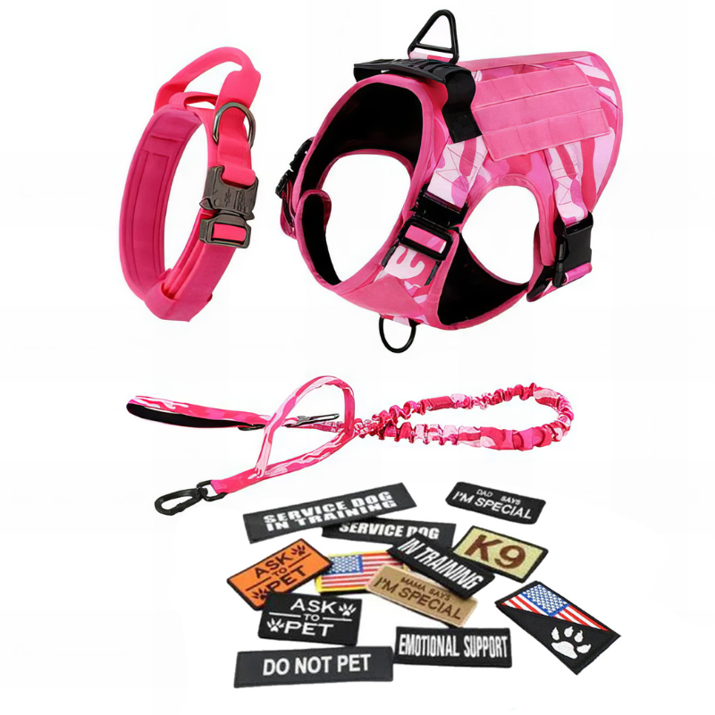 Trendy Dog Harness with Accessories-Paw Print Pad