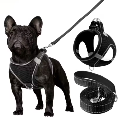 Adjustable Dog Harness With Leash Set And Reflective Trim