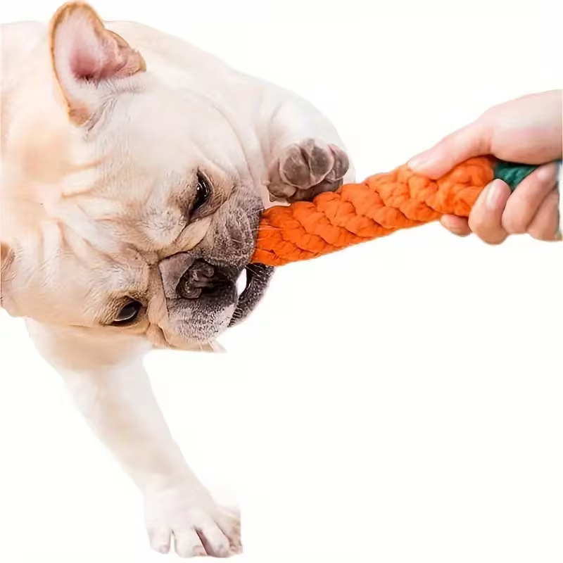 Carrot Design Dog Chew Toy With Tassels