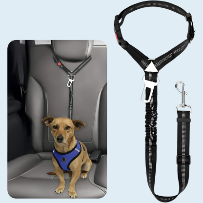 Elastic With Buckle Pet Dog Cat Seat Belt