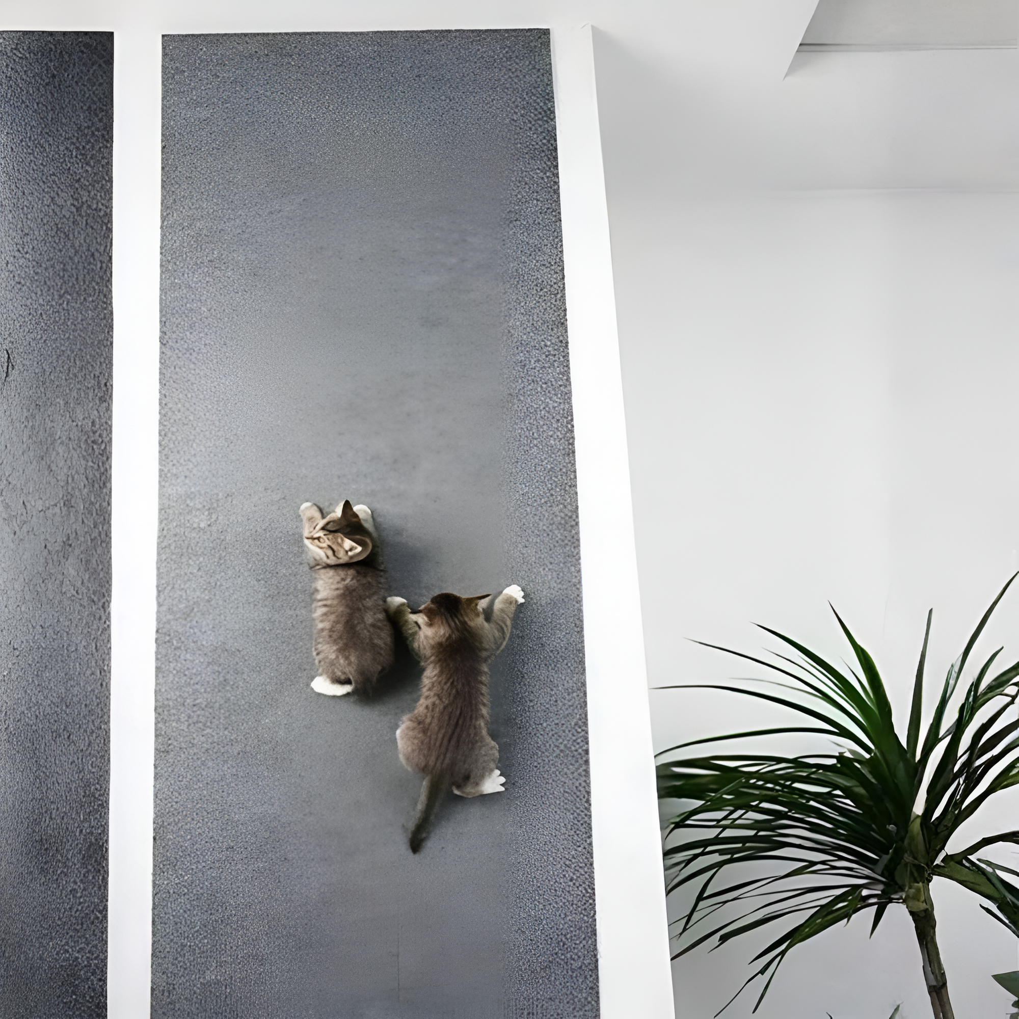 Cat Scratch Pad Self Adhesive Mat For Sofa Wall And Furniture
