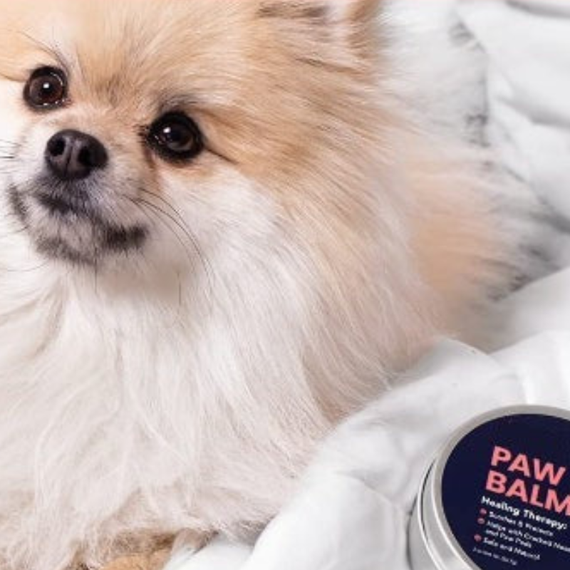 Paw Balm Pad Protector For Dogs Dog Paw Balm Soother Heals-Paw Print Pad