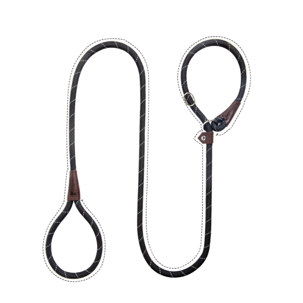 Sturdy Slip Training Leash-Paw Print Pad