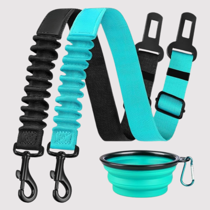 Dog Safety Seat Belt Pack Of 3