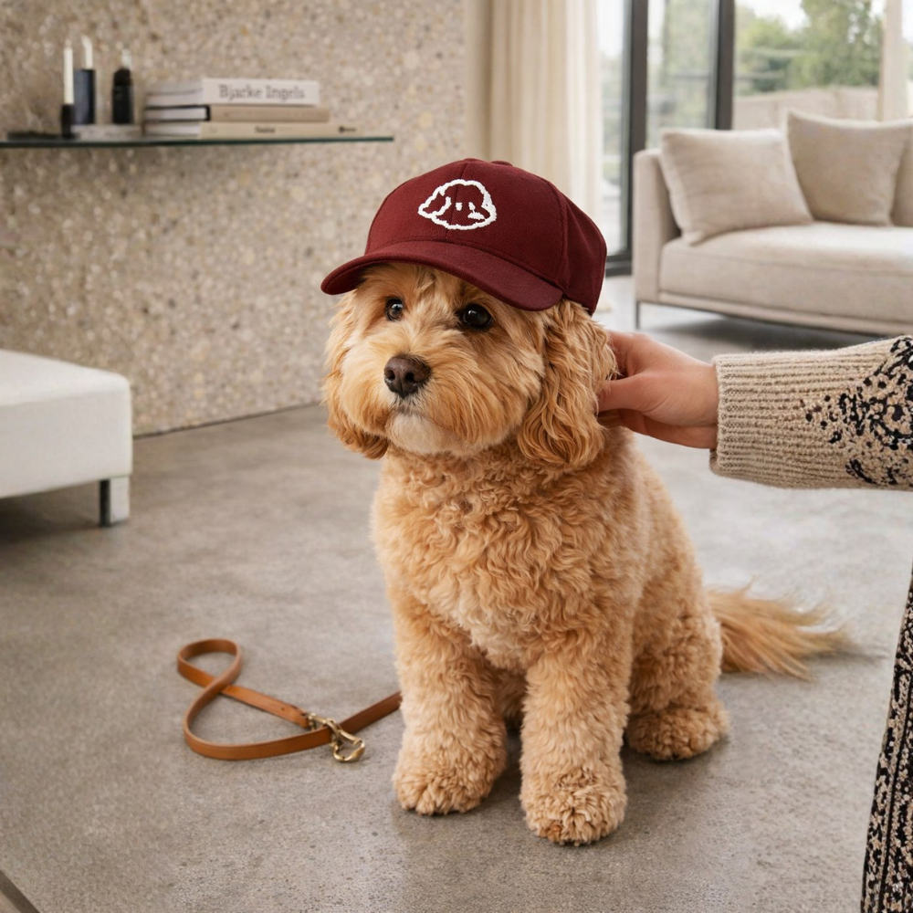 Adjustable Pet Sun Hat, Cartoon Dog Embroidered Pattern 