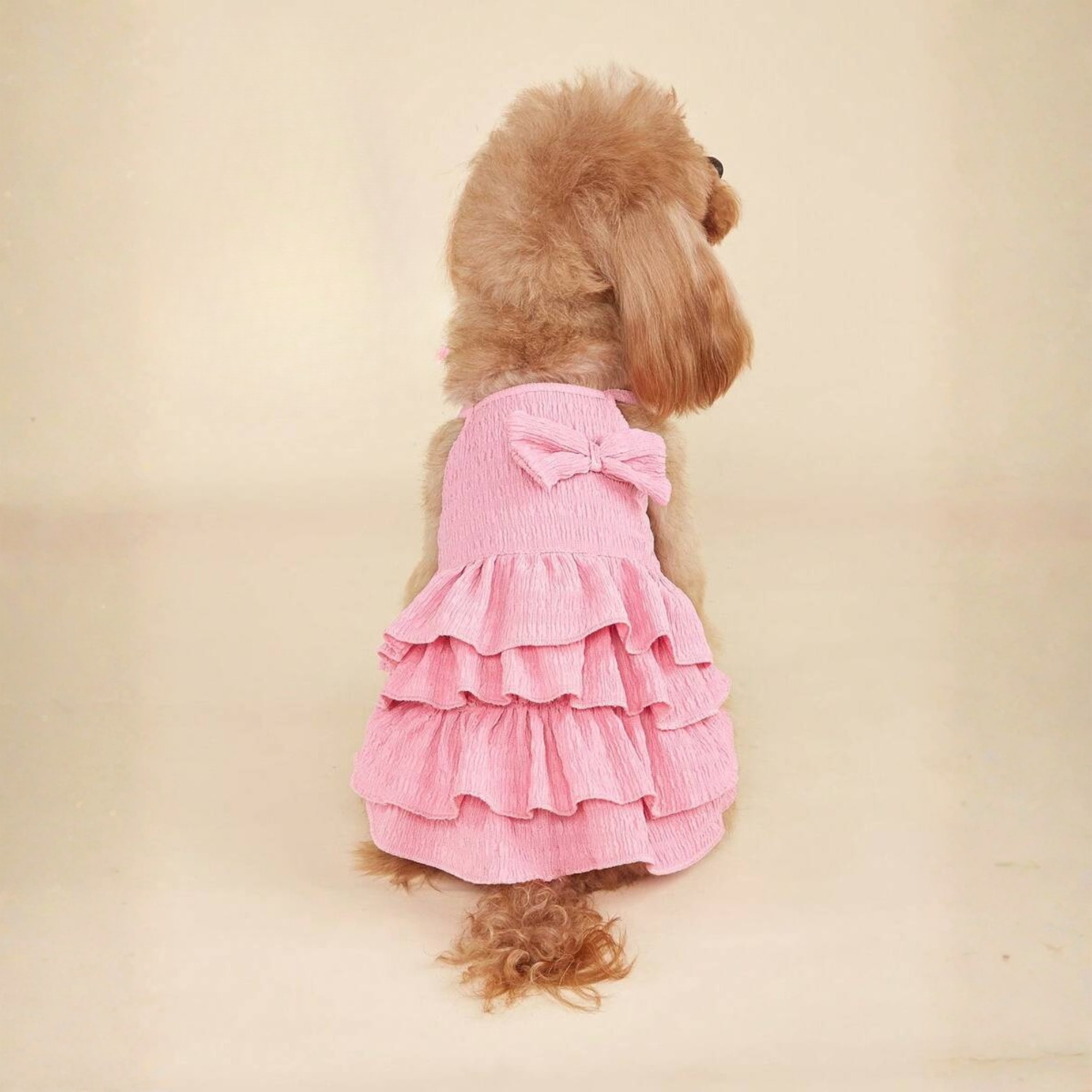 Candy Layered Pet Dress With Bow And Ruffle Soft Outfit