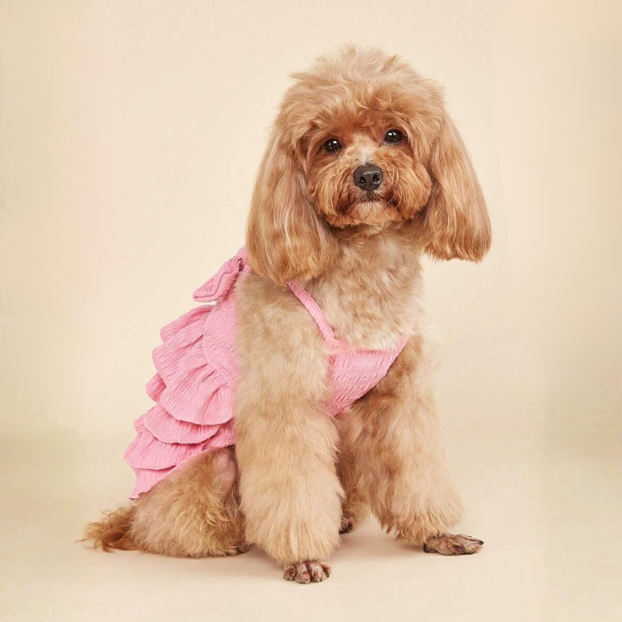 Candy Layered Pet Dress With Bow And Ruffle Soft Outfit
