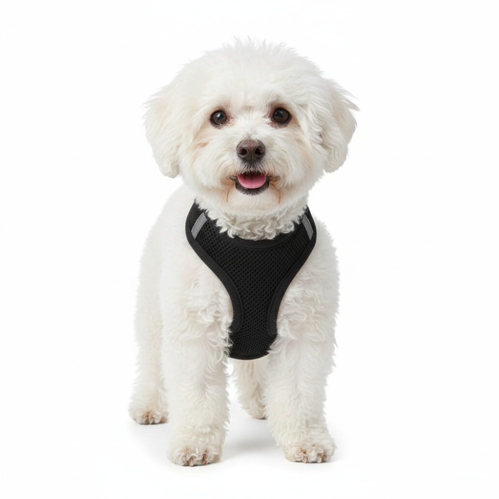 Step In Air Mesh Pet Harness