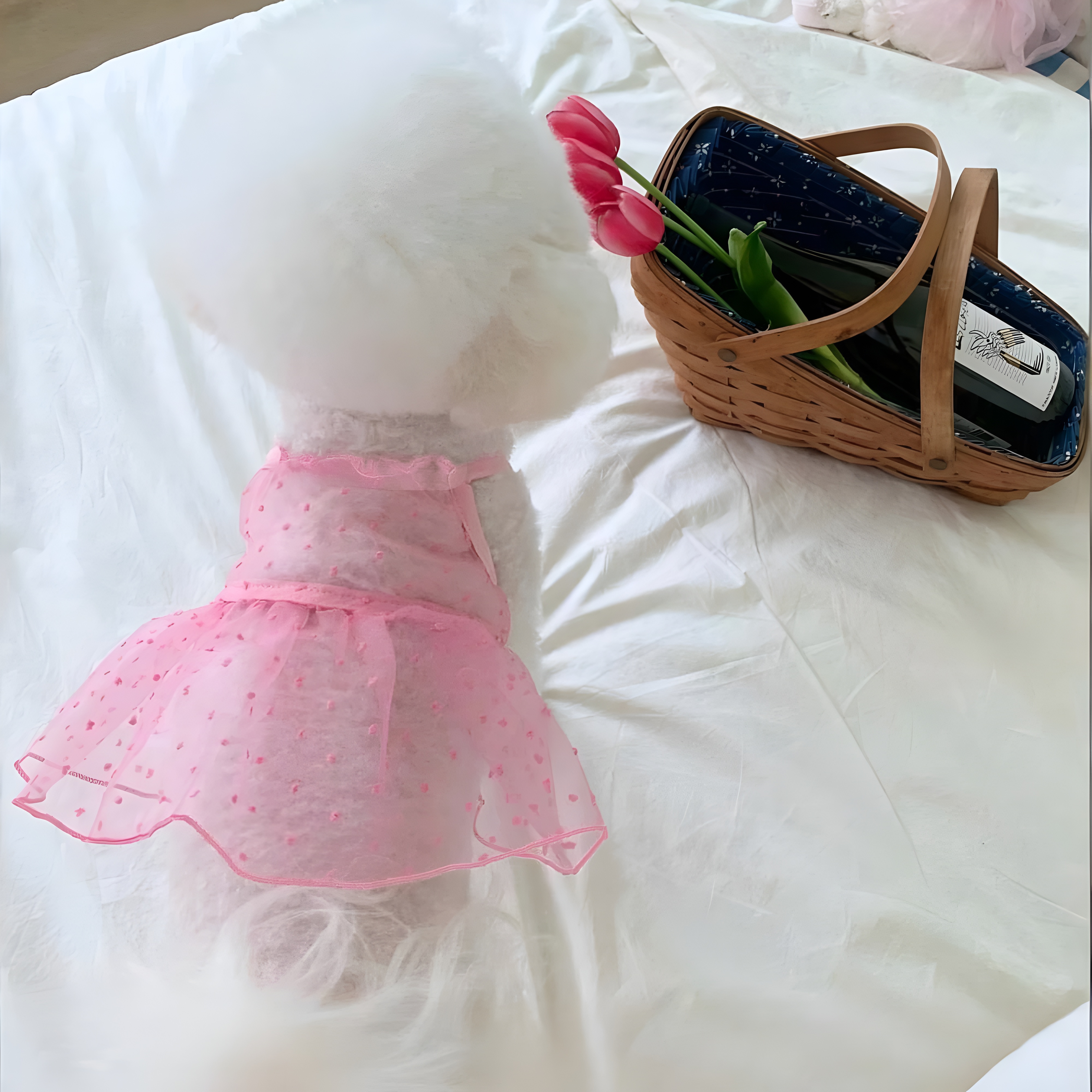 Lightweight Summer Stylish Mesh Pet Dress 