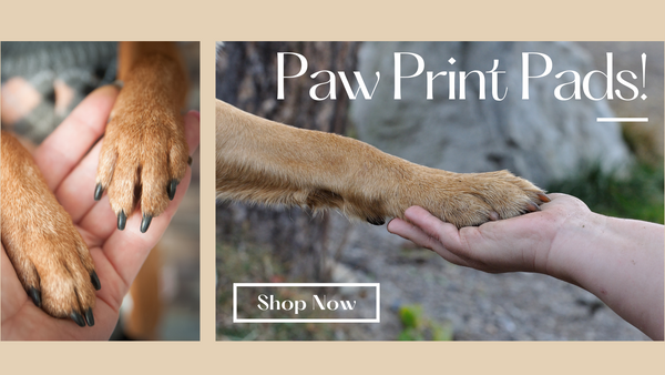 Paw Print Pad