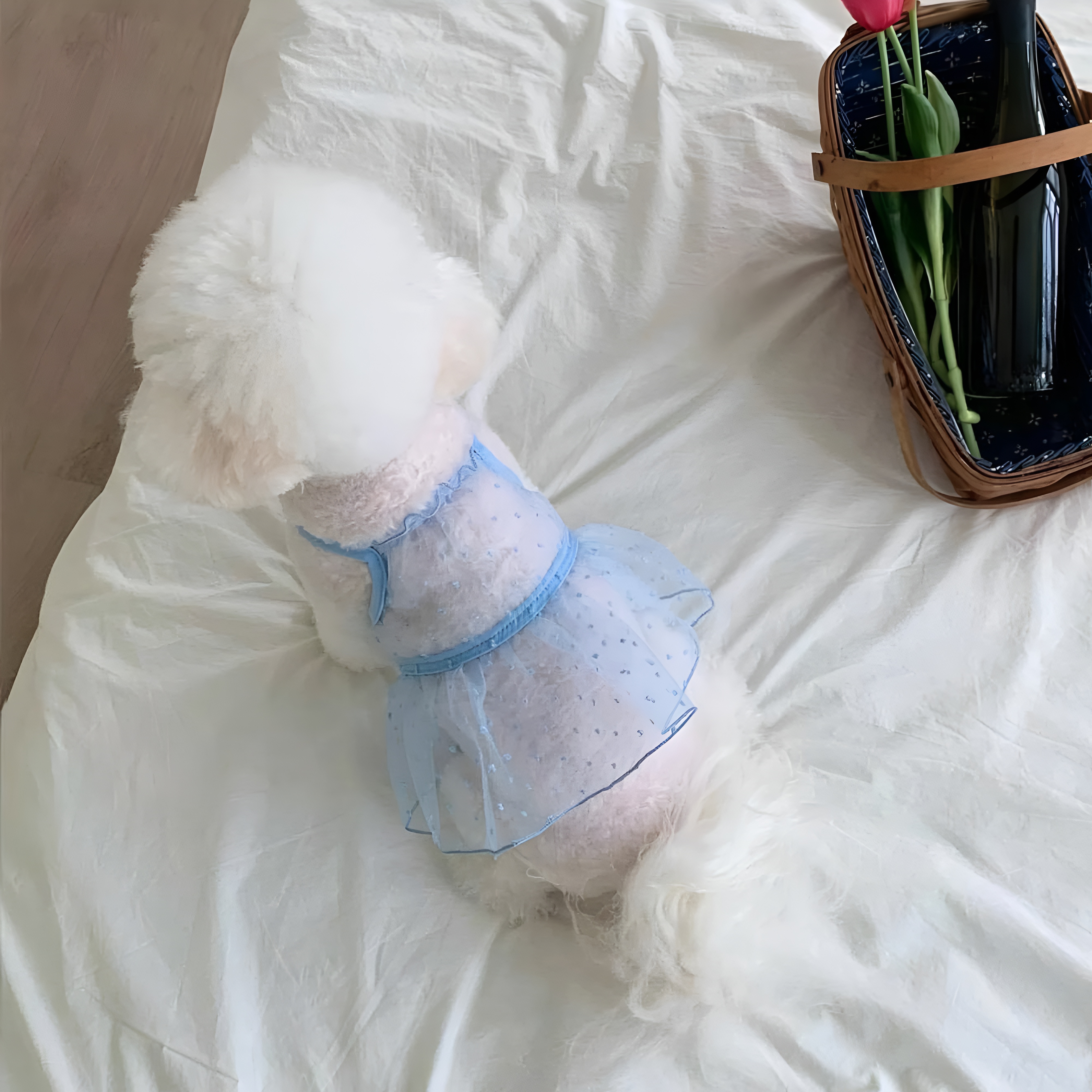 Lightweight Summer Stylish Mesh Pet Dress 