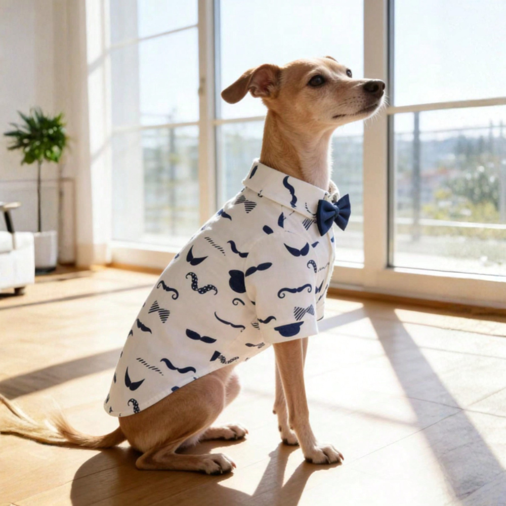 Gentleman Casual Bow Tie Stylish & Cute Multi-Color Denim Print Shirt For Small Dogs