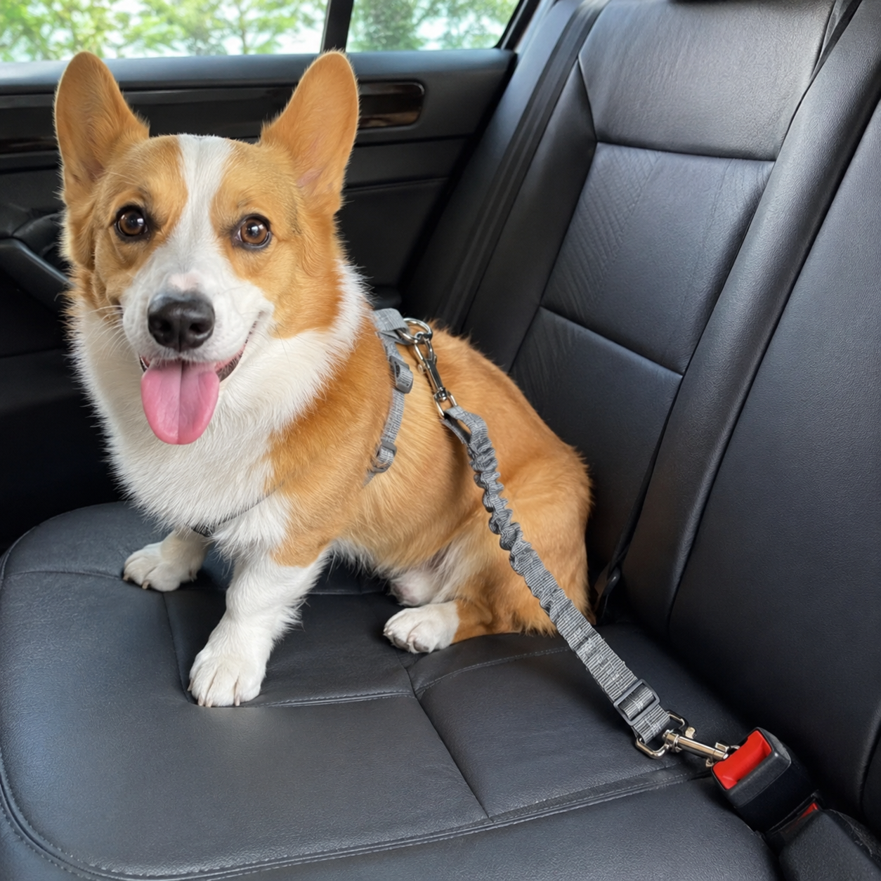 Adjustable Car Seat Belt Harness Leash For Pets