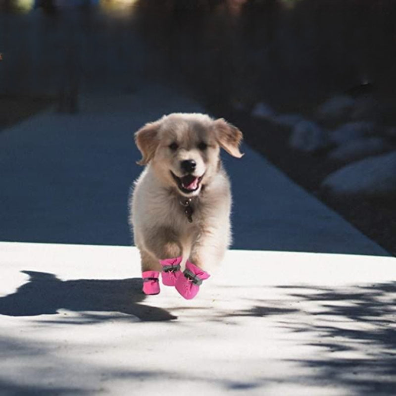 Dog Boots & Paw Protector, Anti-Slip Sole Winter Snow Dog Booties-Paw Print Pad