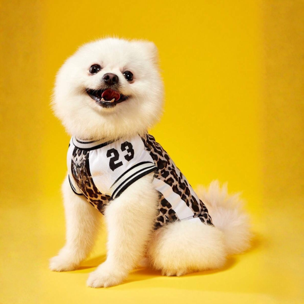 Structured Thermal Sporty National Pet Jersey