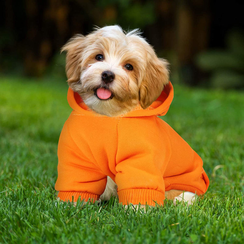 Winter Dog Hoodie Warm Small Dog Sweatshirts With Pocket Cotton Coat For Dogs Clothes Puppy Costume-Paw Print Pad