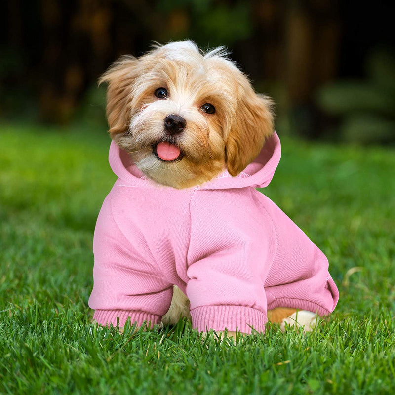 Winter Dog Hoodie Warm Small Dog Sweatshirts With Pocket Cotton Coat For Dogs Clothes Puppy Costume-Paw Print Pad