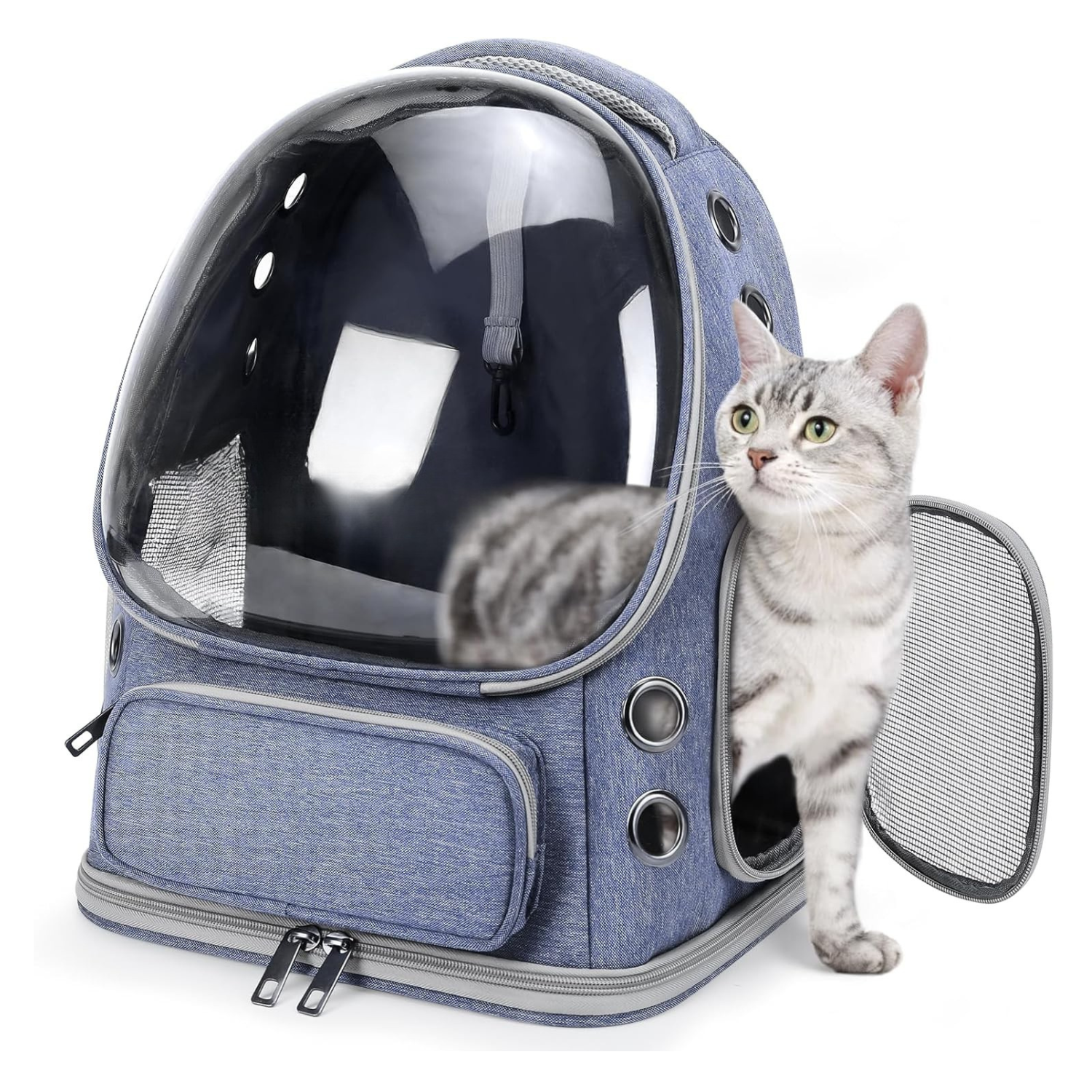 Expandable Bubble Travel Carrier Backpack for Cats And Dogs