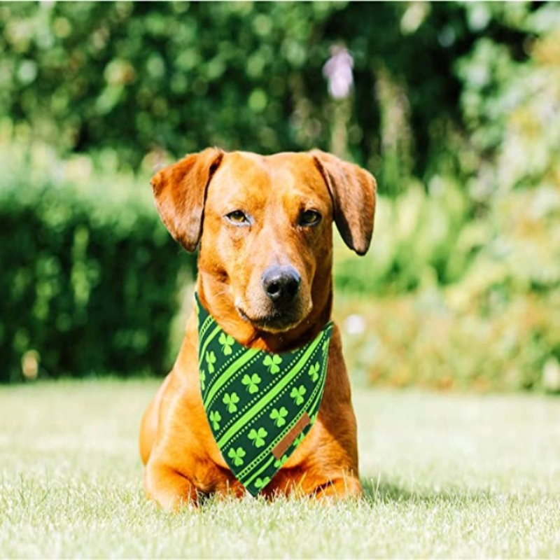 Reversible Green Shamrock Pet Scarf  With Premium And  Durable Fabric-Paw Print Pad