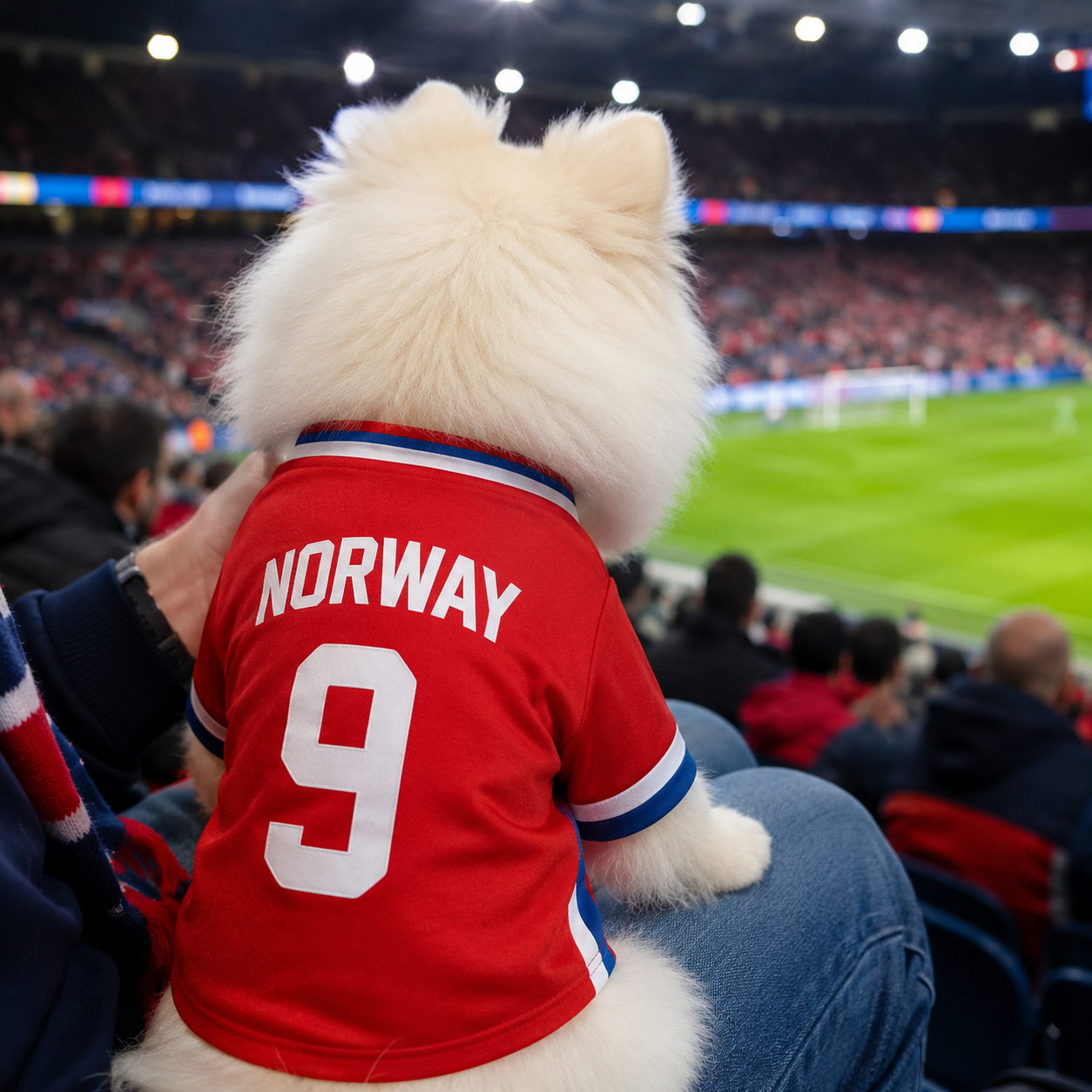 World Cup 2026 Norway Soccer Pet Jersey