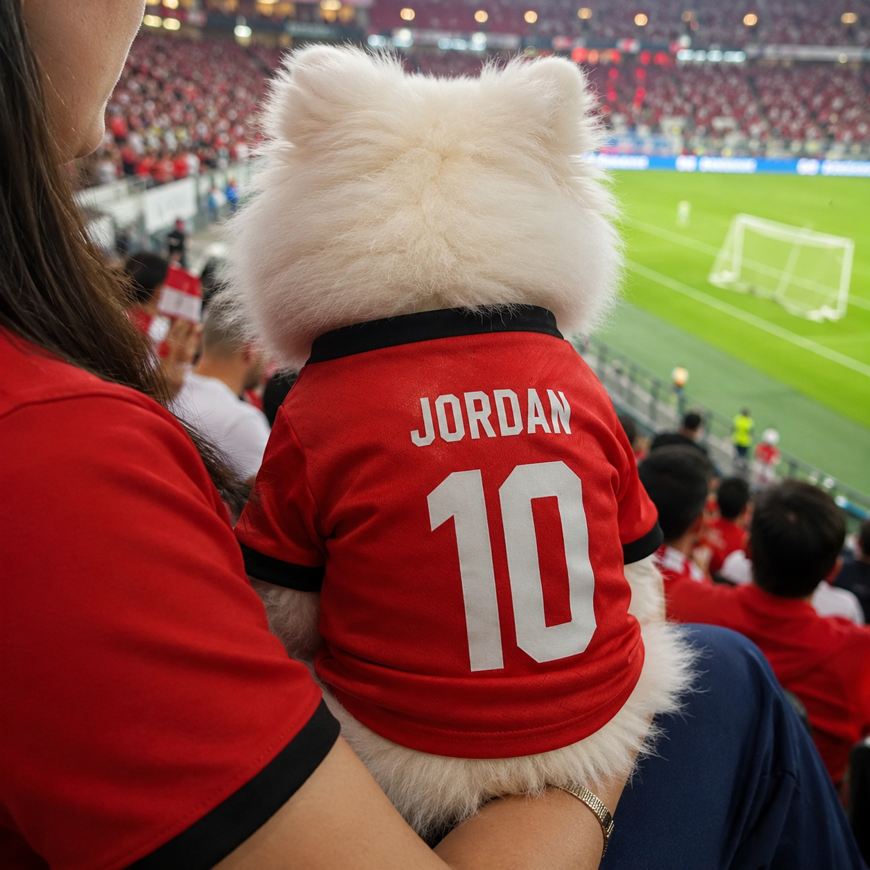 World Cup 2026 Jordan Soccer Pet Jersey