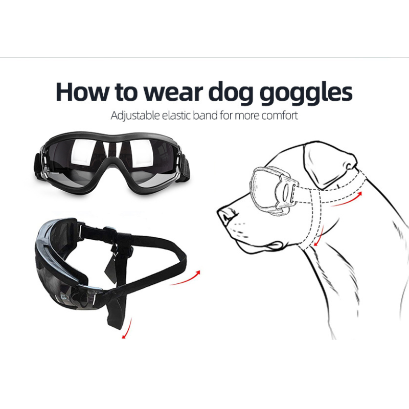 Dog Sunglasses Eye Wear Protection With Adjustable Strap-Paw Print Pad