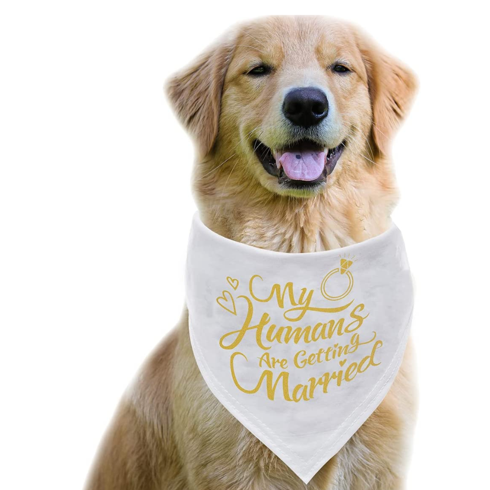 My Humans Are Getting Married Dog Bandana, Wedding Photo Prop, Pet Scarf, Dog Engagement Announcement, Pet Accessories-Paw Print Pad