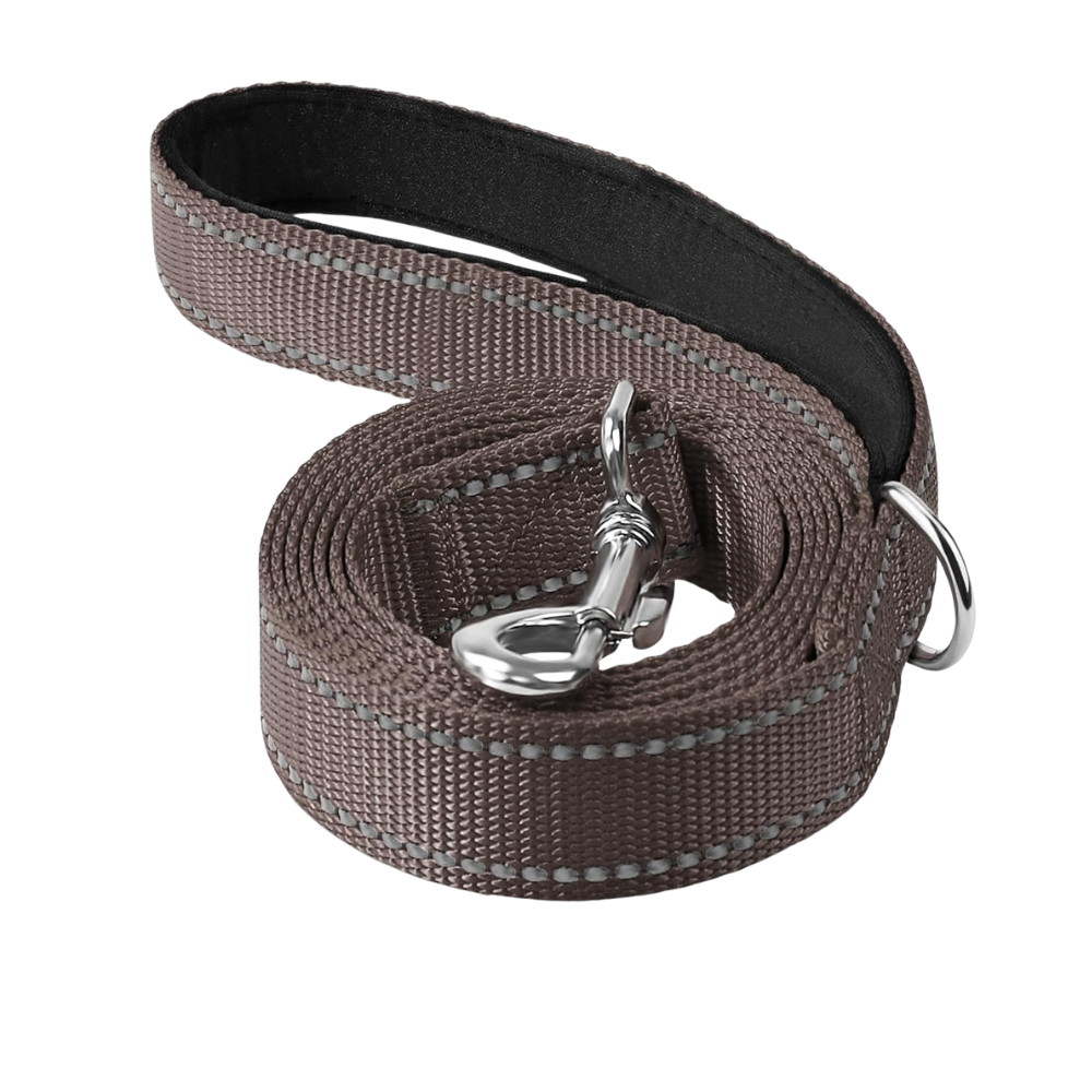 Narrow Double Sided Reflective Dog Leash