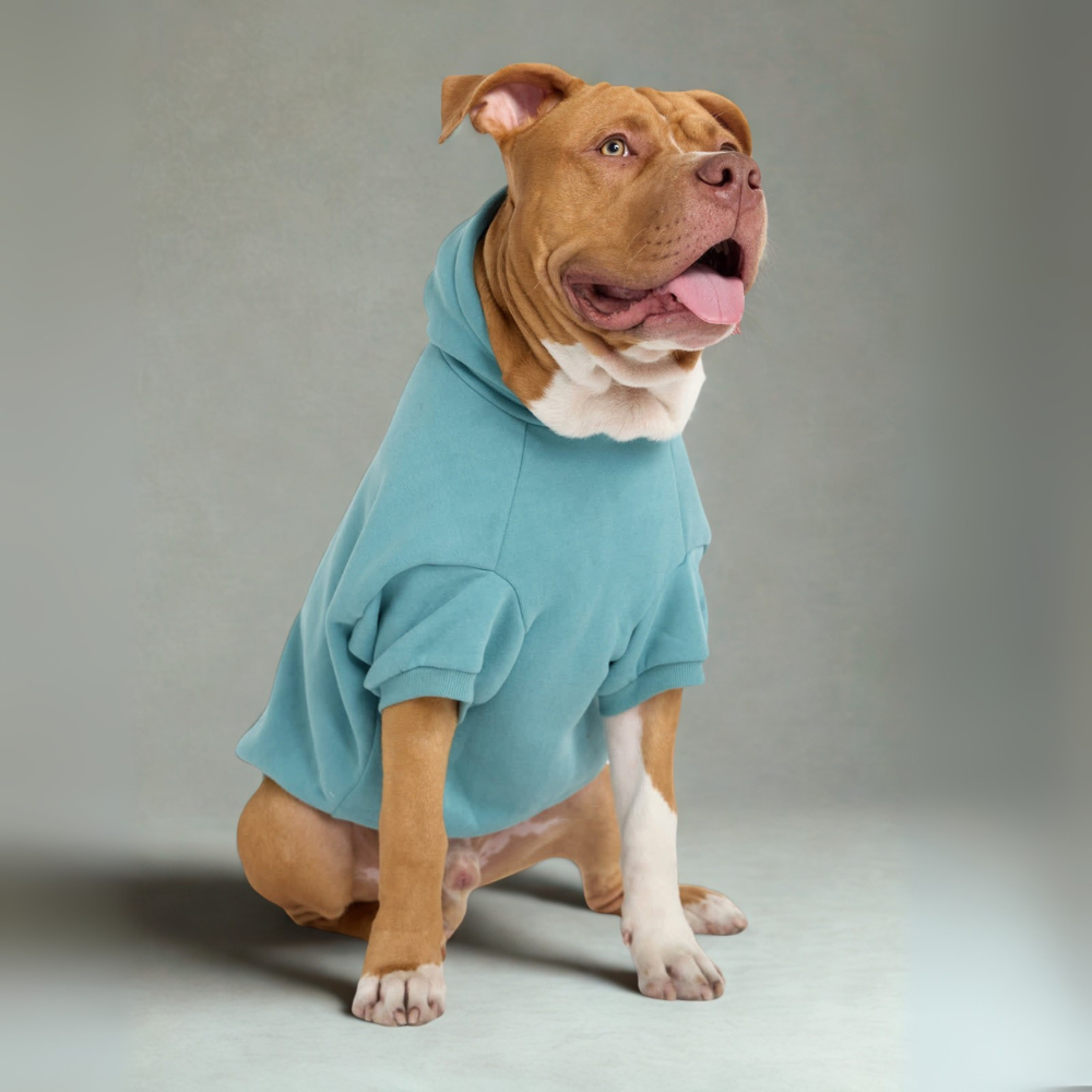 Cozy Hoodie for Dogs