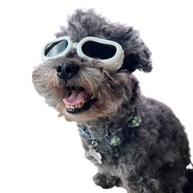 Dog Sunglasses Small Breed Dogs Goggles UV Protection Eye Wear Windproof Anti-Fog Pet Glasses For Doggy About Over 5lbs, White-Paw Print Pad