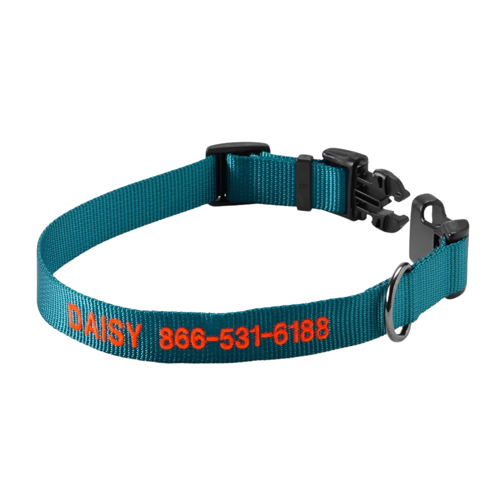 Personalized Side Release Buckle Collar-Paw Print Pad