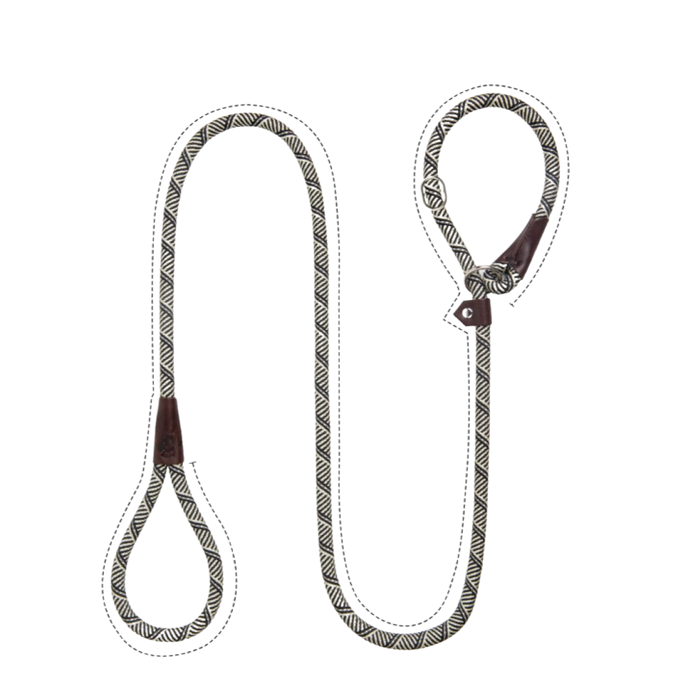 Sturdy Slip Training Leash-Paw Print Pad