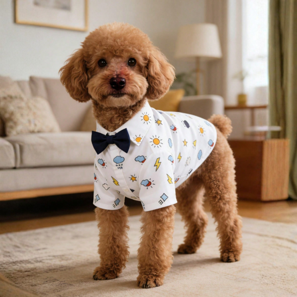 Gentleman Casual Bow Tie Stylish & Cute Multi-Color Denim Print Shirt For Small Dogs