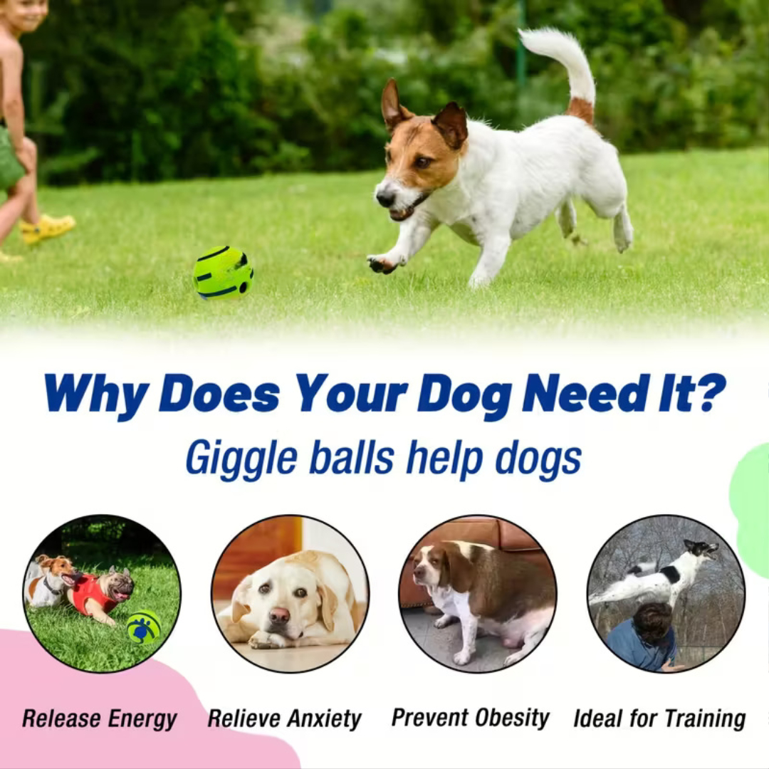 Interactive Dog Voice Ball Toy For IQ Training And Play