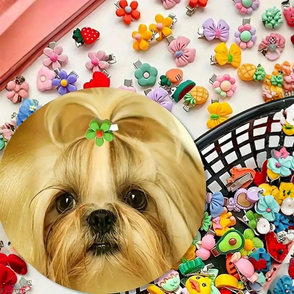 Multi Style Pet Hair Accessories Set For Cats And Dogs Grooming