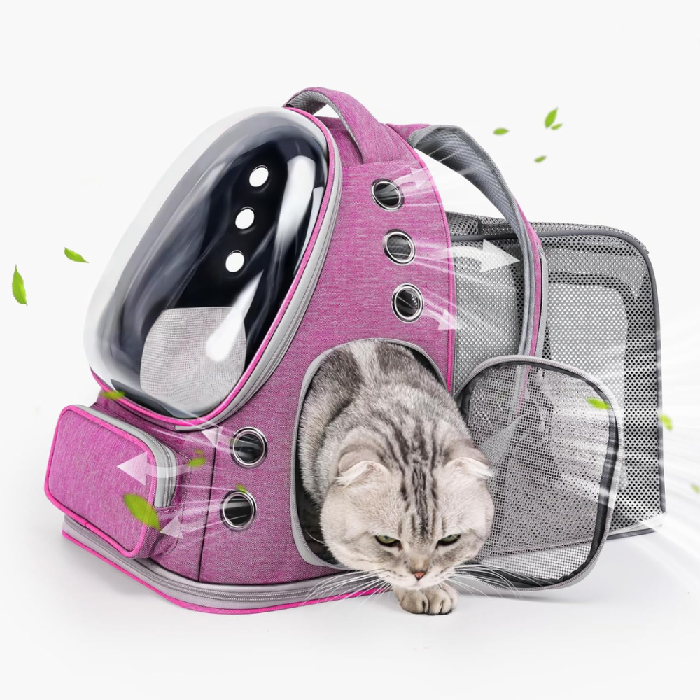 Expandable Bubble Travel Carrier Backpack for Cats And Dogs