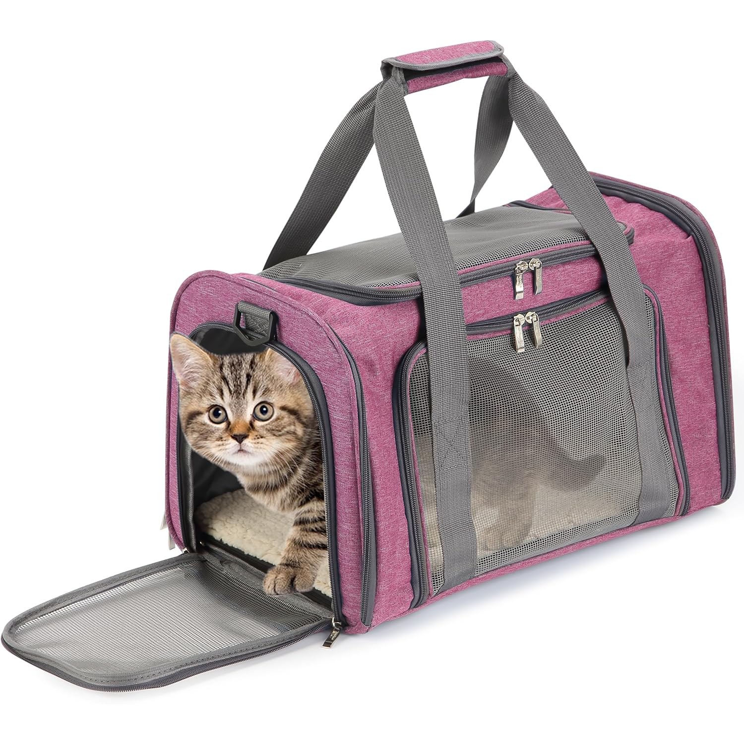 Portable Pet Carrier for Cats And Dogs with Mesh Panels Safety Leash And Side Pocket