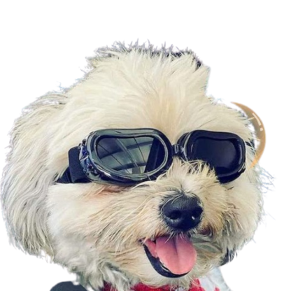 Dog Sunglasses Small Breed Dogs Goggles UV Protection Eye Wear Windproof Anti-Fog Pet Glasses For Doggy About Over 5lbs, White-Paw Print Pad