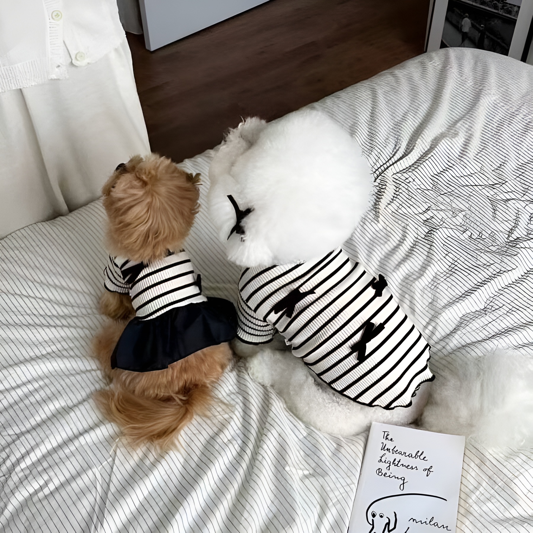Striped Pet Dress With Bow For Small Dogs Summer Outfit