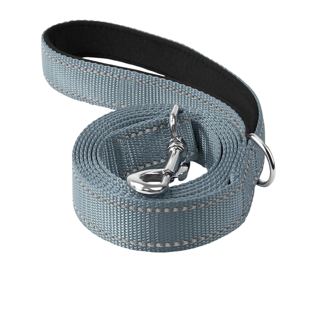 Narrow Double Sided Reflective Dog Leash