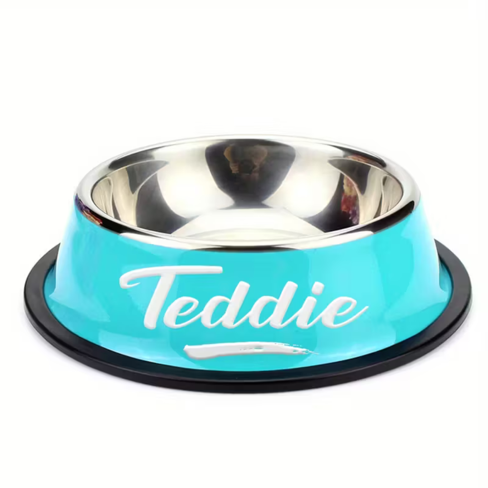 Personalized Stainless Steel Pet Bowl With Custom Name For Cats And Dogs