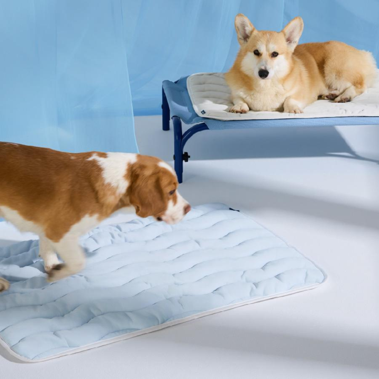 Dog Cooling Mat With Non Slip Bottom For Summer Comfort