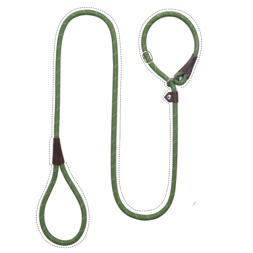 Sturdy Slip Training Leash-Paw Print Pad